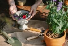 enhance growth with technology