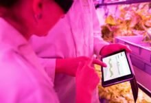 maximize growth with technology